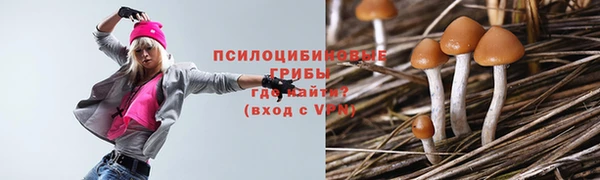 MDMA Нязепетровск
