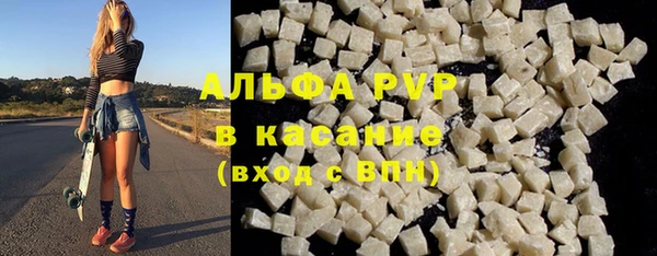 индика Ельня