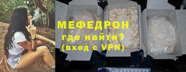 индика Ельня
